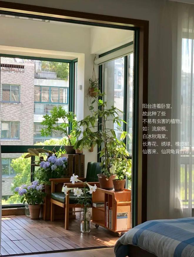 空无一物与植物同屋这样的家真让人羡慕。凯发k8网站浙江一女子晒出生活照客厅(图4)