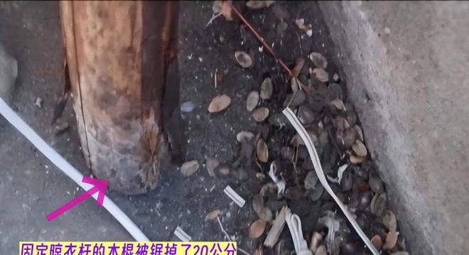 西案件：妻子取天线万谋害妻子凯发K8国际娱乐2017年江