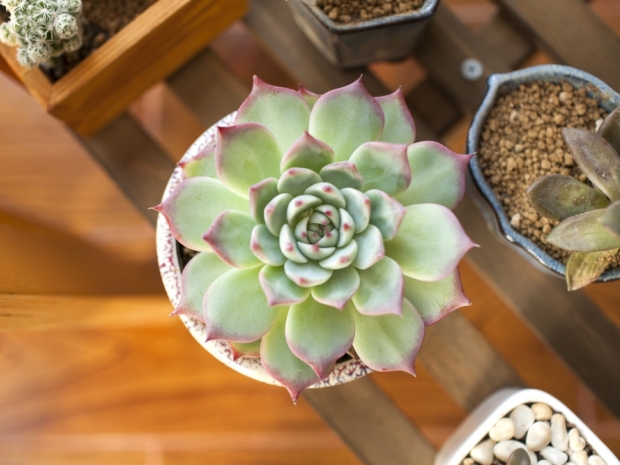 4种主流方案优缺点解析阳台安装什么晾衣架好?(图2) 4种主流方案优缺点解析阳台安装什么晾衣架好?(图2)