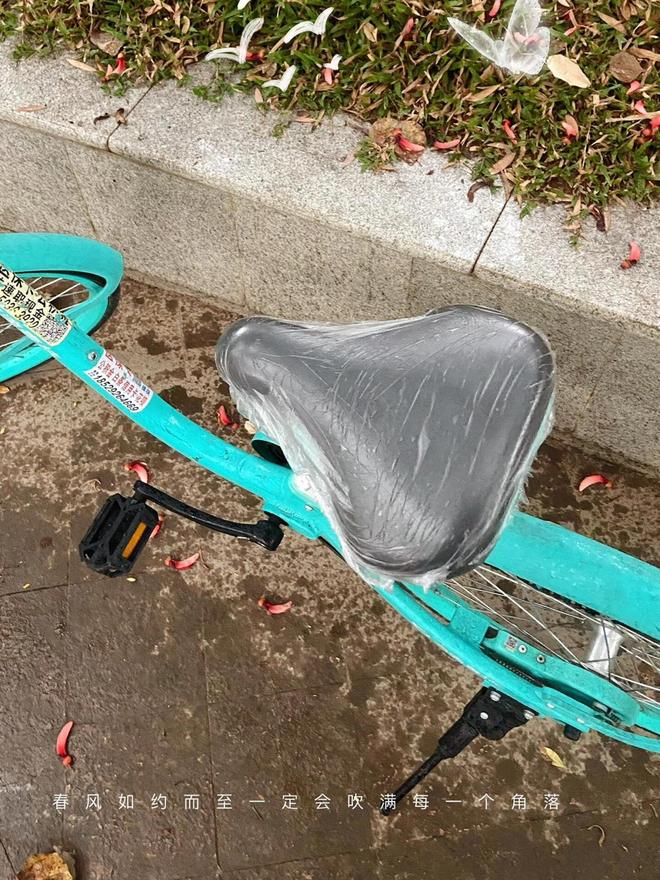 !几块钱的小东西竟能让生活开挂被老妈买的“便宜货”惊艳到了(图13) !几块钱的小东西竟能让生活开挂被老妈买的“便宜货”惊艳到了(图13)